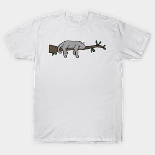 Quick Nap T-Shirt